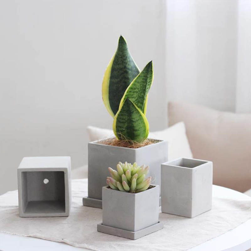 Large Square Flowerpot Silicon - Potsticker Mold 评论和价格