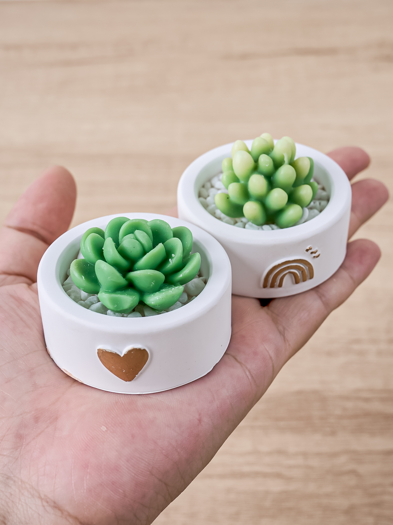 Round Candle Cup Holder Silico - Potsticker Mold 评论和价格