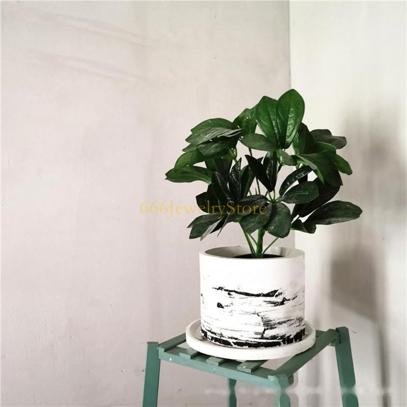 F2TD Large Round Concrete Flow - Potsticker Mold 评论和价格